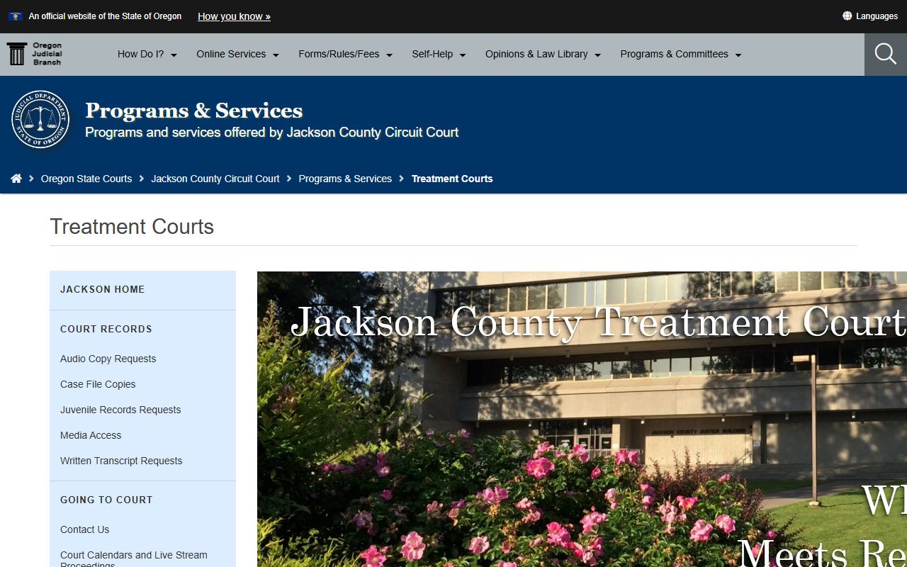 Jackson County criminal court records treatment courts